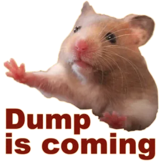 🔻 Dump is coming Hamster, Müll, Tier, süß, Nagetier, lustig telegram sticker