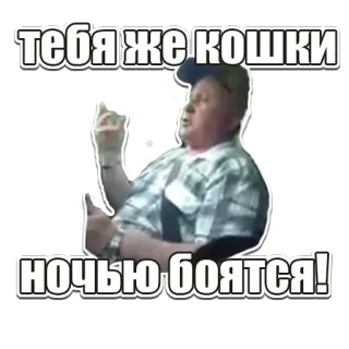 🙀 тебя же кошки
ночью боятся! 男人, 手势, 俄语, 文字, 猫, 害怕 telegram sticker