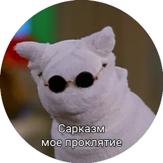 😑 Сарказм мое проклятие 猫, 皮肉, ミーム, メガネ, 面白い telegram sticker
