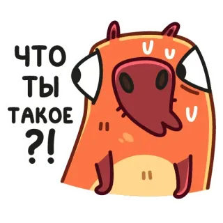 😳 Что ты такое?! 漫画, 動物, 質問, ロシア語, ステッカー, 混乱 telegram sticker