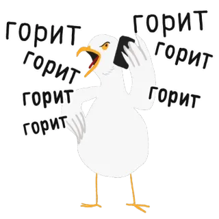 🔥 горит camar, burung, berbicara, telepon, rusia telegram sticker
