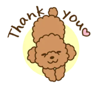 😊 THANK YOU! cachorro, poodle, obrigado, coração, fofo, animal whatsapp sticker