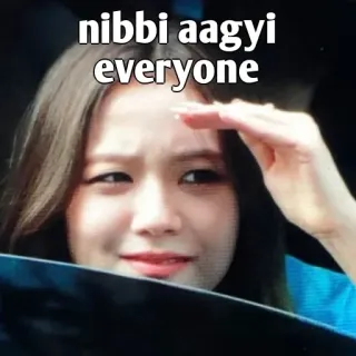 👀 nibbi aagyi everyone telegram sticker