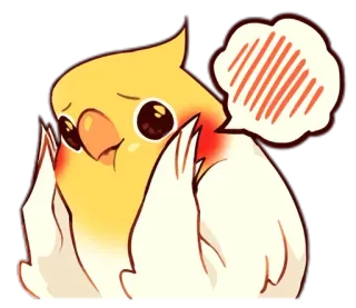 😊 pássaro, calopsita, fofo, emoji, adesivo telegram sticker