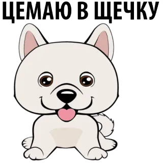 🐶 ЦЕМАЮ В ЩЕЧКУ hond, puppy, lief, dier, huisdier, cartoon whatsapp sticker