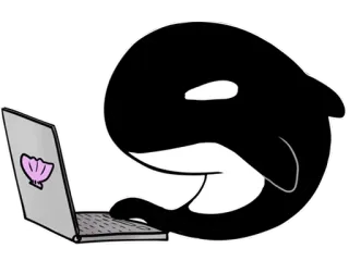 🧑‍💻 косатка, кит, ноутбук, морское существо, мультфильм telegram sticker