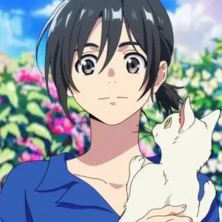 🥥 Anime, Chico, Gato, Retrato telegram sticker