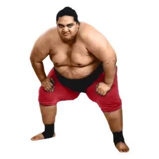 😁 sumo, lutteur, sport, athlète, japonais telegram sticker