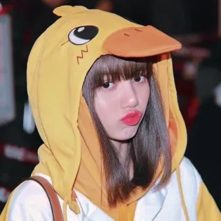 😙 Lisa ลิซ่า, Blackpink, K-Pop, เป็ด, เสื้อฮู้ด, เกาหลี, นักร้อง telegram sticker