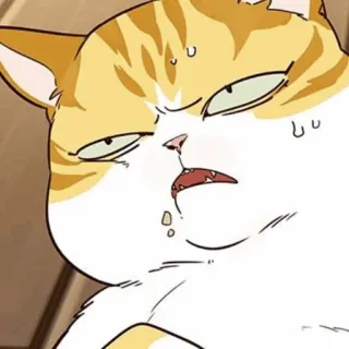 🐈 mèo, biểu cảm, khó chịu, dễ thương, hài hước, mèo cam, meme, nhãn dán telegram sticker