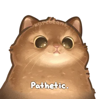 😐 Pathetic kucing, meme, menyedihkan, hewan, peliharaan, imut, Karebeans whatsapp sticker