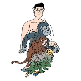 🐵 evolución, animal, simio, humano, dibujos animados, ciencia, biología whatsapp sticker