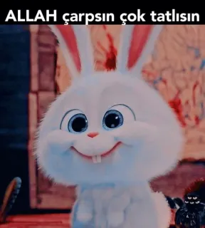🥰 ALLAH çarpsın çok tatlısın 토끼, 귀여운, 동물, 눈덩이, 바니 whatsapp sticker