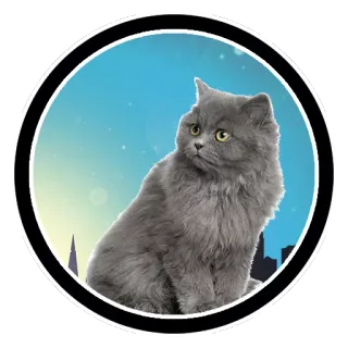 Funny Cats (@Saratov64_chat) telegram stickers