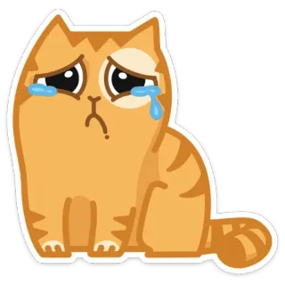 😭 chat, triste, pleurer, animal, orange telegram sticker