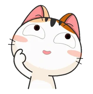 ⭐ gato, desenho animado, fofo, adesivo, pensando, ponderando whatsapp sticker