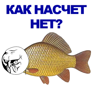 🐠 mème, poisson, trollface, internet, drôle whatsapp sticker
