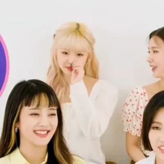 🐚 whatsapp sticker