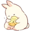 🐇