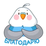👏 AVAAAVAA かわいい, 鳥, カワイイ, 動物, ステッカー telegram sticker
