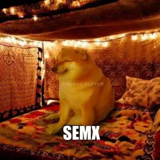 😂 SEM doge, Meme, Pies, Zwierzę, Meme internetowy telegram sticker
