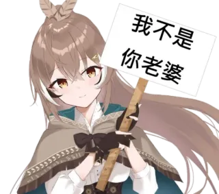 🌞 我不是你老婆 Anime, Sticker, Texto chino, Pelo castaño, Dibujo animado telegram sticker
