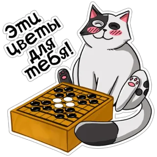 💐 Эти цветы для тебя! cat, go game, flowers, gift, russian, cute, sticker telegram sticker