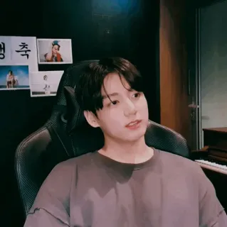 ✨ K-pop, piosenkarz, mężczyzna, artysta, portret telegram sticker