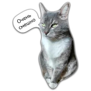 🙄 Очень смешно Katze, lustig, Meme, Sticker, russisch, Humor, Tier telegram sticker