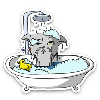 🛁 Katze, Bad, Dusche, Quietscheente, Cartoon telegram sticker
