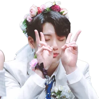 ✌️ mann, blumenkranz, friedenszeichen, kpop, sänger, porträt telegram sticker