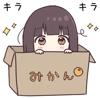 👀 キラ
キラ
みかん Anime, Manga, Kawaii, Lindo, Caja, Naranja, Brillo, Chica telegram sticker
