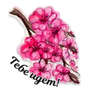 Акварель telegram stickers