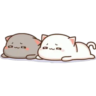 😍 chat, triste, mignon, animal, dessin animé whatsapp sticker