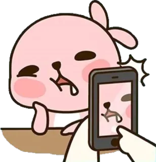🐰 rabbit, pink, cute, animal, cartoon, selfie, phone telegram sticker