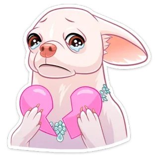💔 cachorro, chihuahua, chorando, triste, desilusão amorosa, coração partido whatsapp sticker