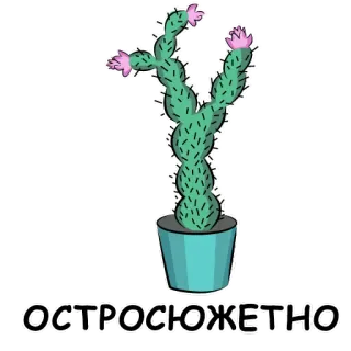 😱 ОСТРОСЮЖЕТНО cactus, planta, flores, planta en maceta, texto ruso, pegatina telegram sticker