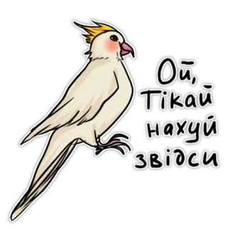 ☺️ Ой, Тікай нахуй звідси Vogel, Nymphensittich, Aufkleber, Ukrainisch, Beleidigung, Slang whatsapp sticker