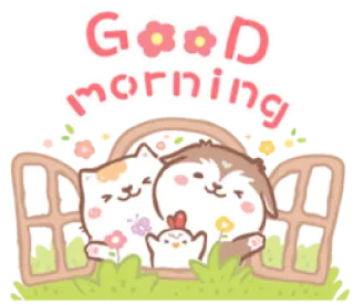 🌞 Good morning gatto, cane, pollo, carino, finestra, mattina, saluto telegram sticker
