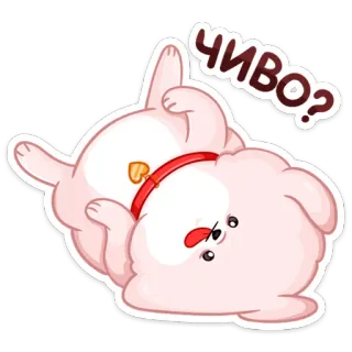 🤪 ЧИВО? chien, mignon, drôle, animal, animal de compagnie telegram sticker