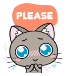 ☺️ PLEASE gato, por favor, fofo, implorando, pedido, adorável whatsapp sticker