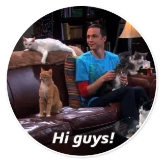 👋 Sheldon Cooper The Big Bang Theory Hi guys! gatos, televisión, comedia de situación, mascotas, animales whatsapp sticker
