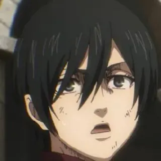 😰 Mikasa Ackerman Attack on Titan anime, girl, cartoon, woman, mikasa, attack on titan, aot telegram sticker