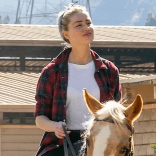 🍥 donna, cavallo, equitazione, camicia di flanella, outdoor, equestre whatsapp sticker