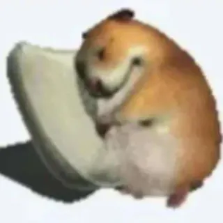 🤓 Hamster whatsapp sticker