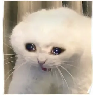 meme faces telegram stickers