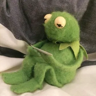 😔 Kermit カーミット, 人形, 読書, 緑, ぬいぐるみ telegram sticker
