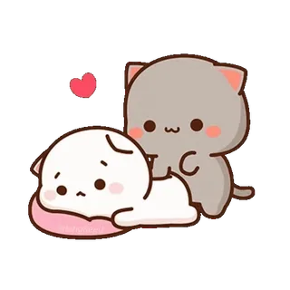 ❤️ 猫, 爱, 情侣, 可爱, 可爱, 爱意 whatsapp sticker