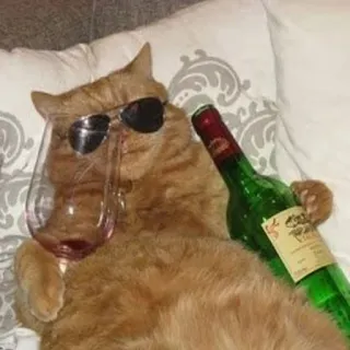 🍷 gato, vinho, óculos de sol, álcool, festa, animal, relaxar whatsapp sticker