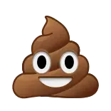 💩